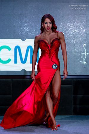 FIT-MODEL OVERALL